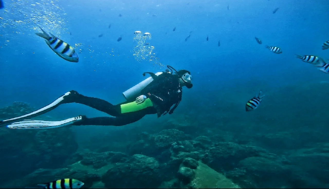 玻利维亚队员顽强拼搏,决心不留遗憾 玻利维亚队员顽强拼搏,决心不留遗憾