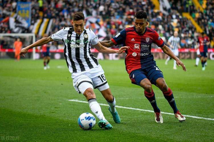 乌迪内斯主场告捷,保级前景日渐光明 乌迪内斯主场告捷,保级前景日渐光明